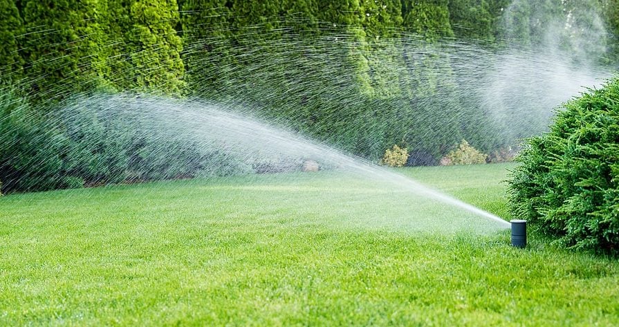 Watering a Texas Lawn: Deep and Infrequent Beats Little and Often