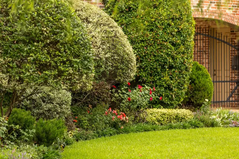 Complete Landscaping Installation