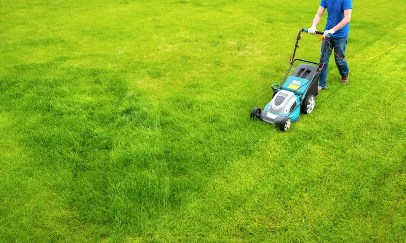 Lawn Mowing & Maintenance