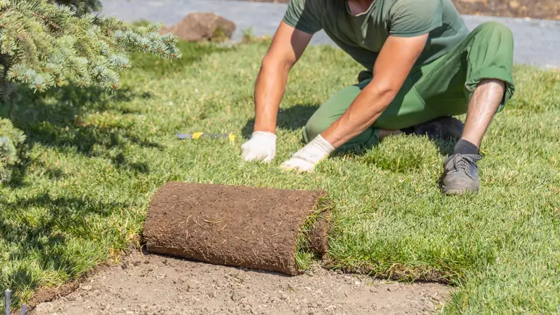 Sod Installation