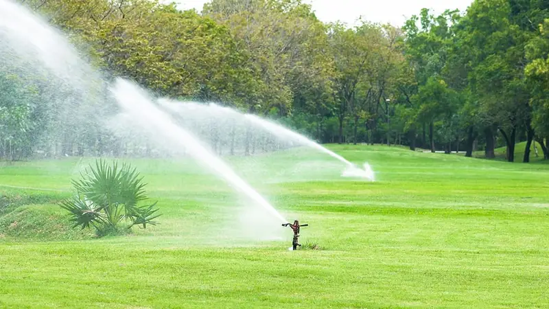 Sprinkler Services
